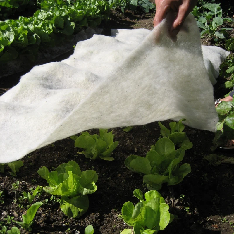 GardenWool Frostschutzmatte
