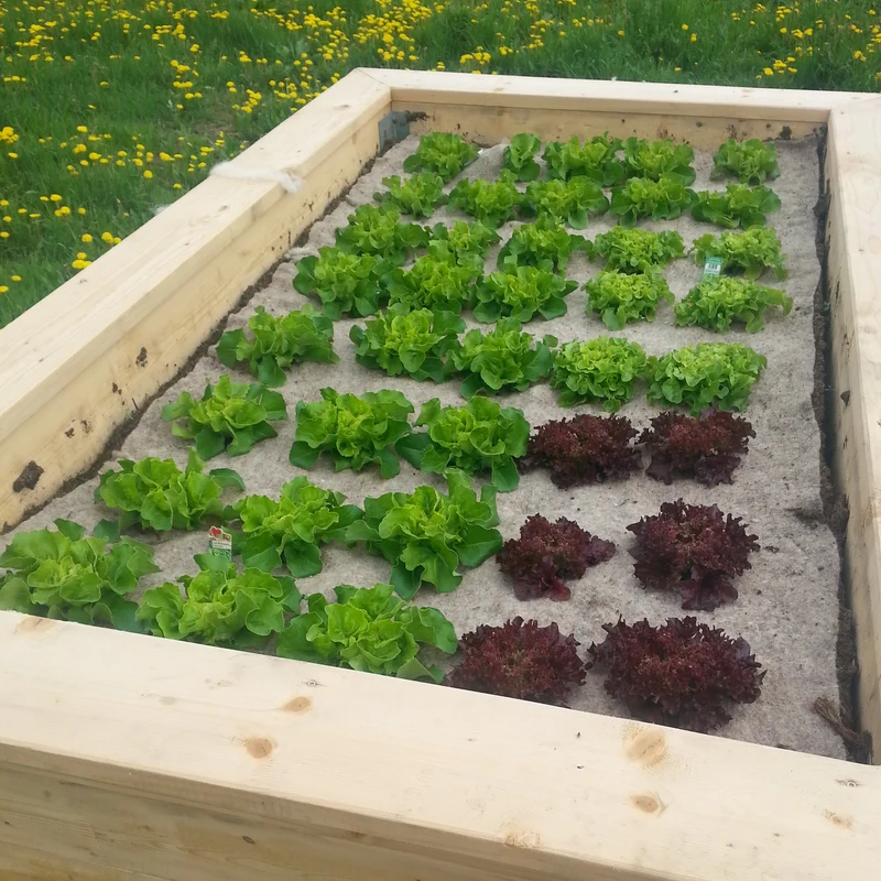 GardenWool Unkrautschutzmatte