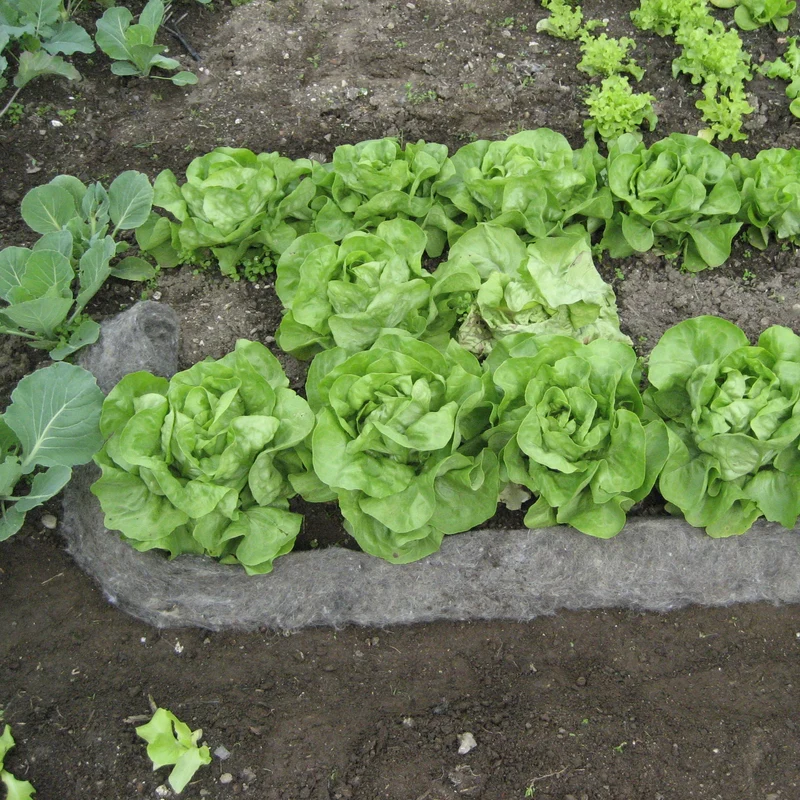 GardenWool Schneckenbremse
