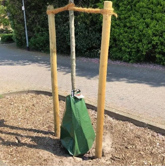 Nölle Bewässerungssack