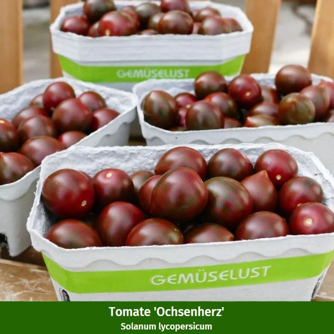 Gemüse-Set "Besondere Gemüsefreude"