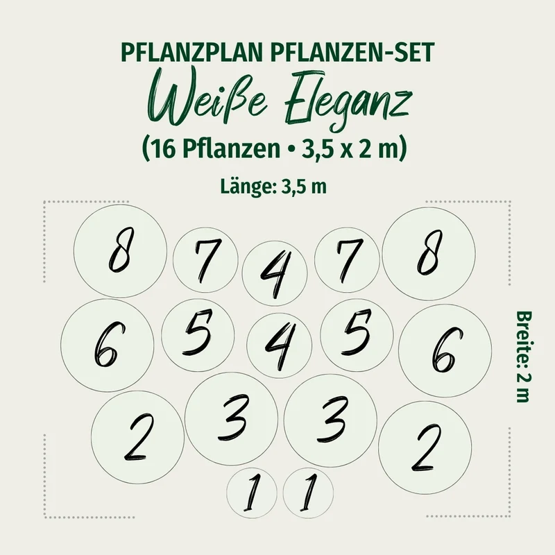 Staudenbeet "Weiße Eleganz"