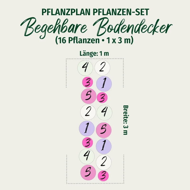 Bodendecker-Set "Begehbare Bodendecker"