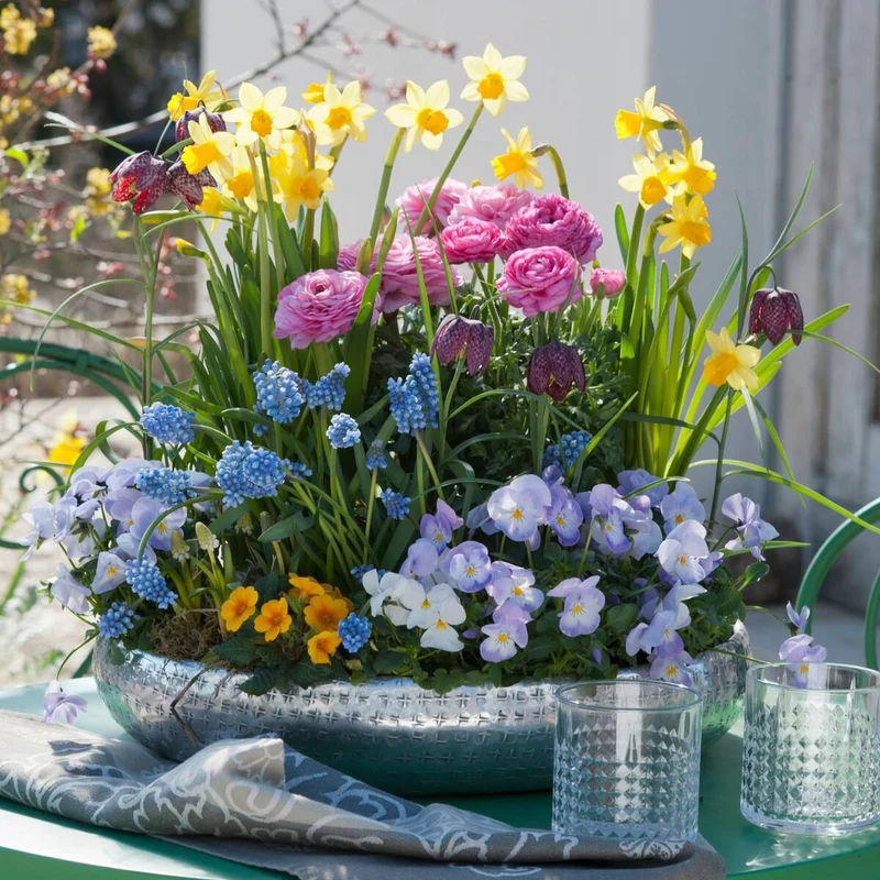 Balkonblumen "Blütenvielfalt im Frühling"