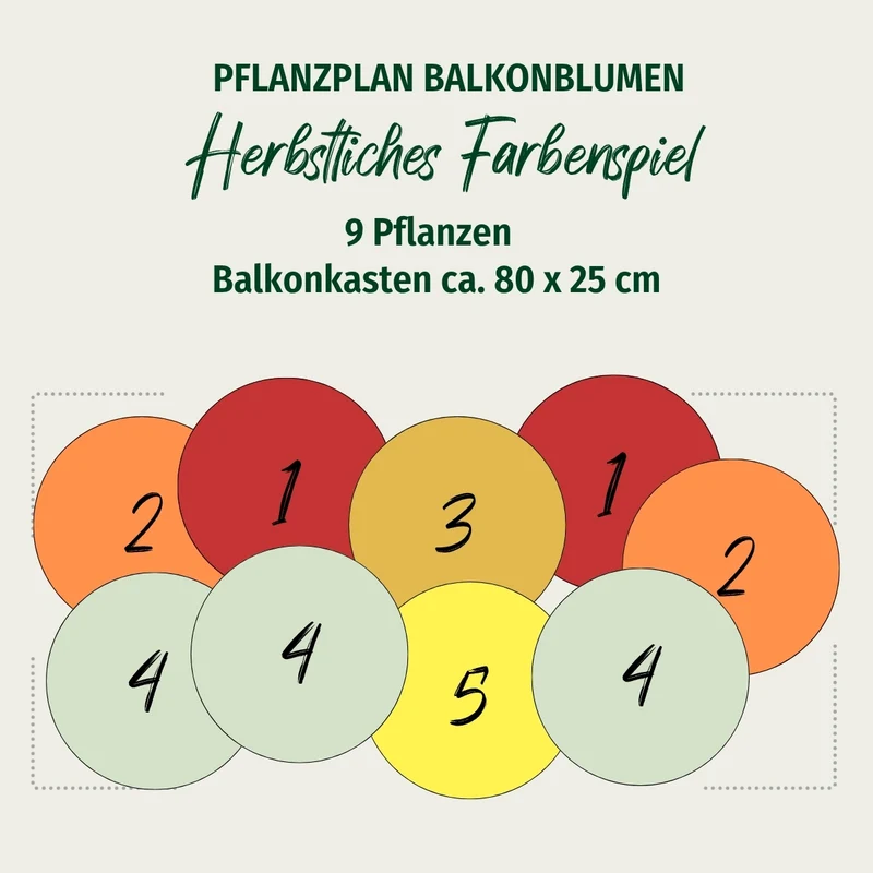 Balkonblumen "Herbstliches Farbenspiel"
