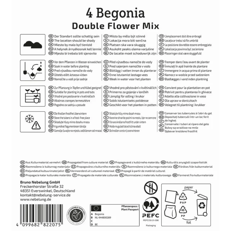 Kiepenkerl Knollenbegonie "Gefüllte Mischung"