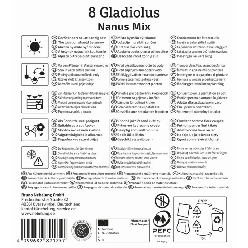 Kiepenkerl Zwerg Gladiolen "Nanus Mix"