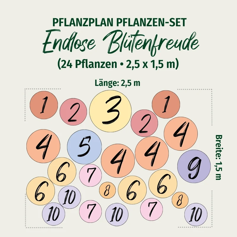 Staudenbeet "Endlose Blütenfreude"