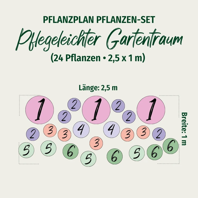 Staudenbeet "Pflegeleichter Gartentraum"