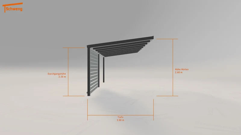 #DE Schweng Pultdachcarport S350 (ID jjpr59) #MTG