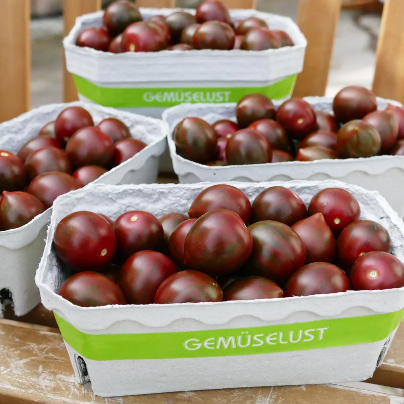 Tomate 'Venusbrust'