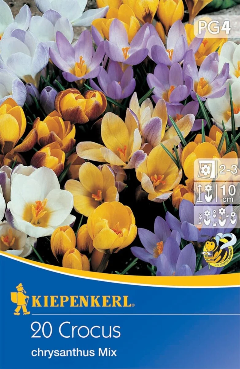 Kiepenkerl Botanischer Krokus Mischung