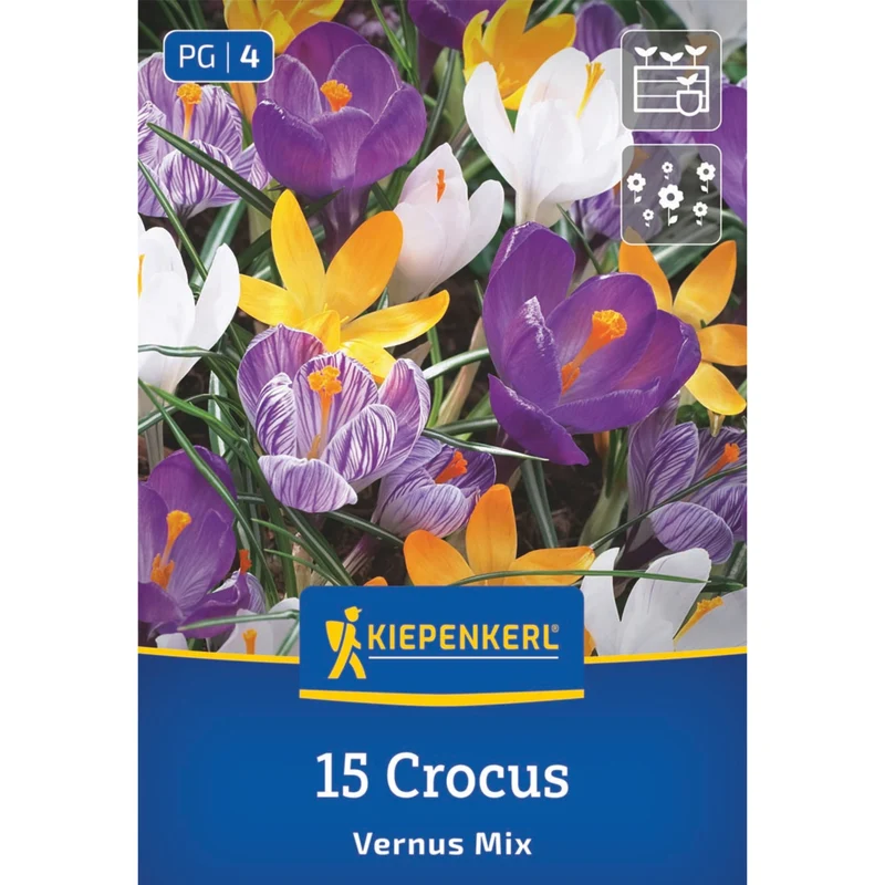 Kiepenkerl Großblumiger Krokus 'Vernus Mix'