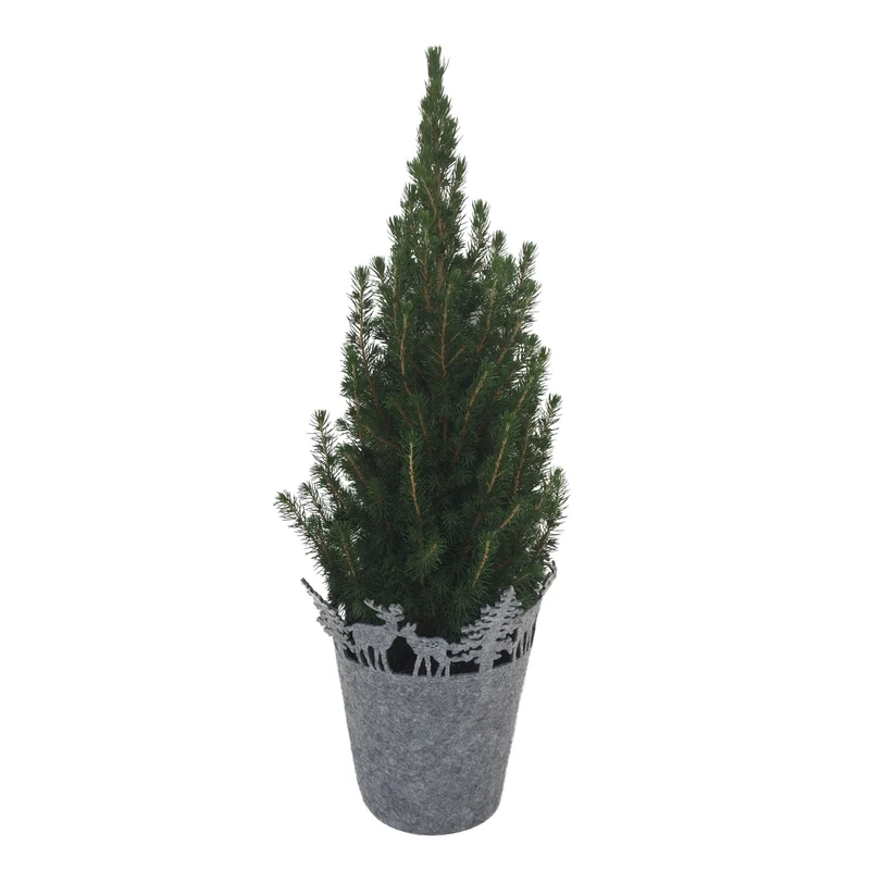 Mini-Weihnachtsbaum