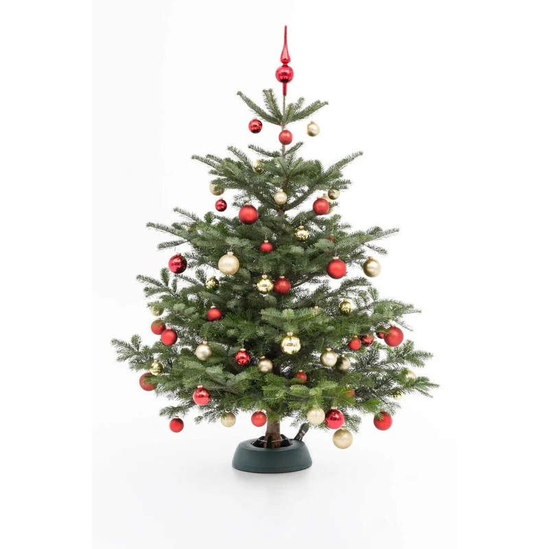 Weihnachtsbaum Nordmanntanne S | ca. 80 – 100 cm