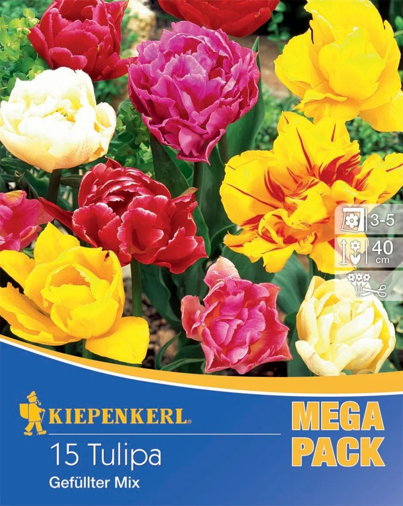 Kiepenkerl Gefüllte Tulpen Mischung, Mega-Pack