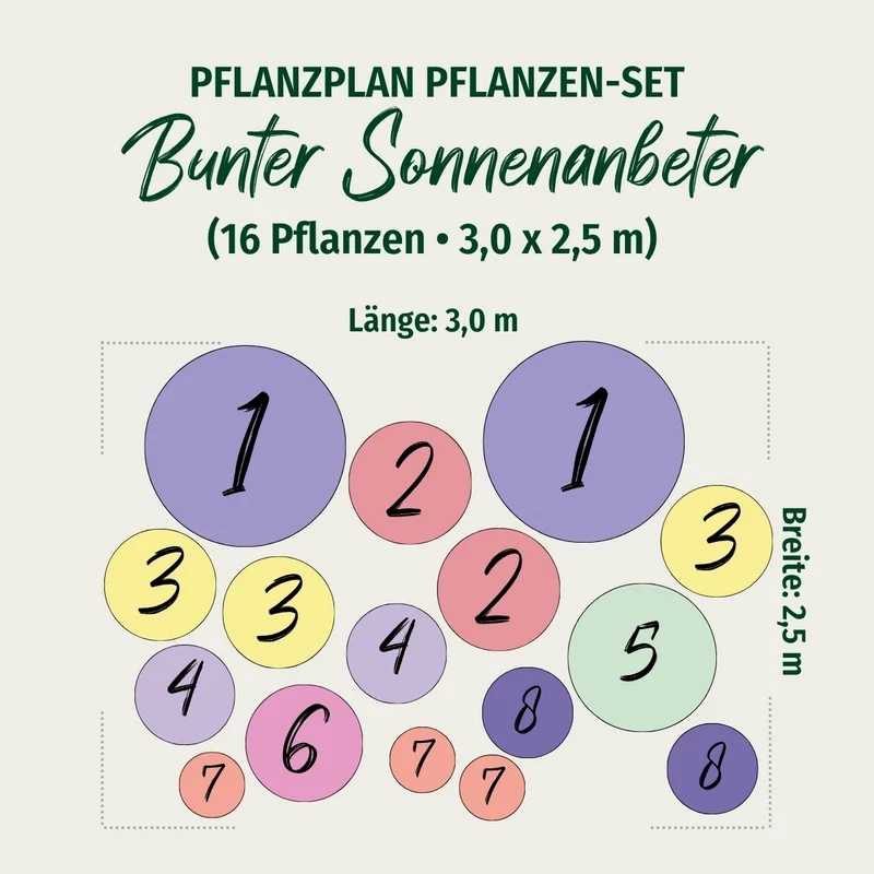 Staudenbeet "Bunter Sonnenanbeter"