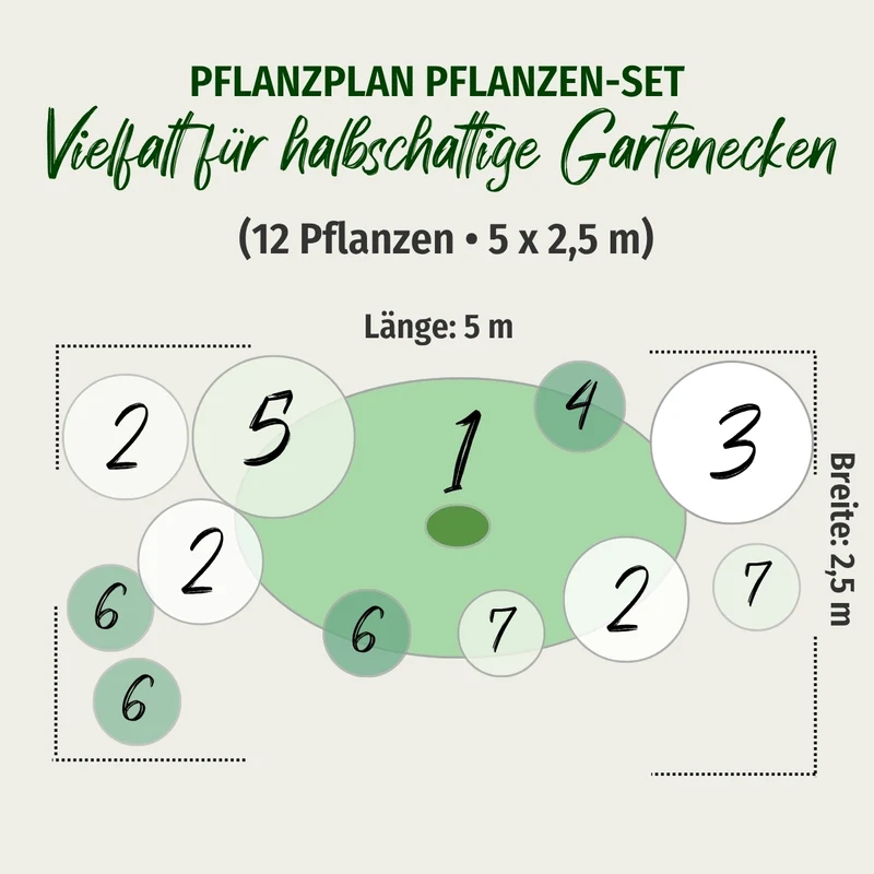 Pflanzen-Set “Vielfalt für halbschattige Gartenecken"