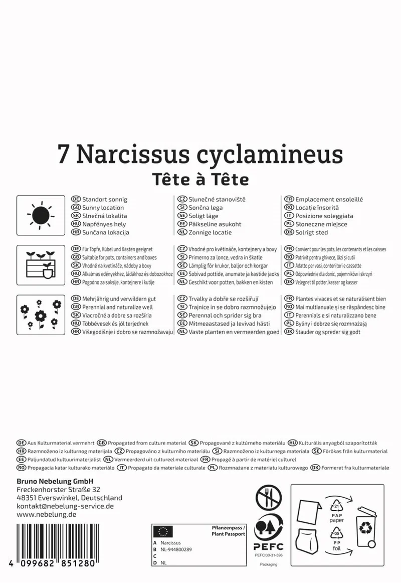Kiepenkerl Narzisse 'Tête à Tête'