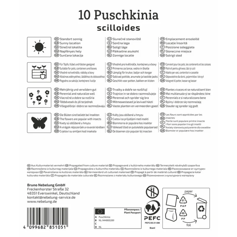 Kiepenkerl Puschkinie