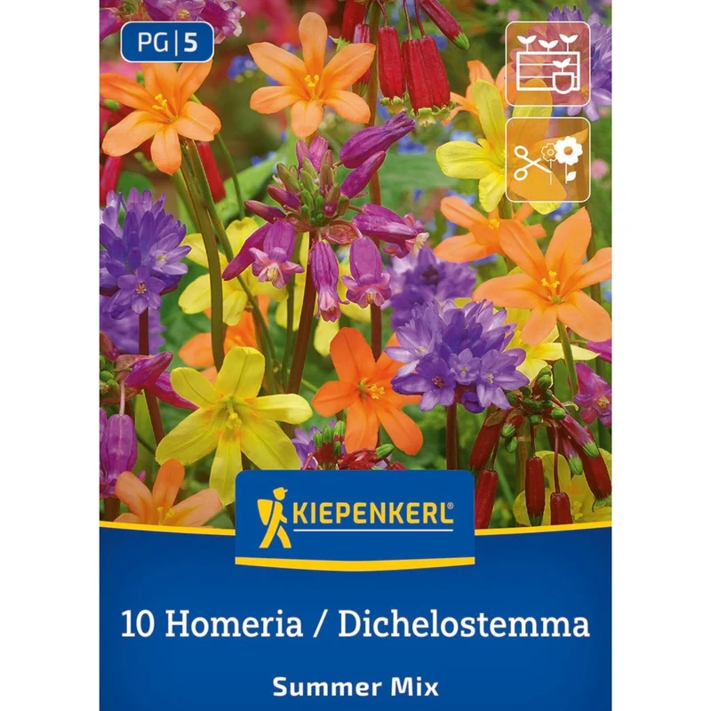Kiepenkerl Blumenzwiebelmischung "Summer Mix"