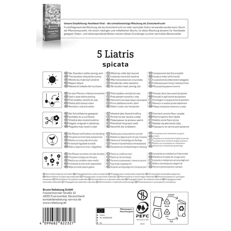 Kiepenkerl Prachtscharte