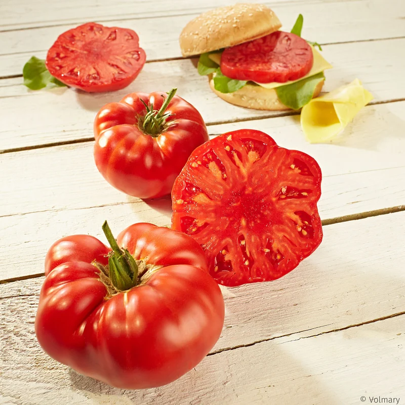 Steak-Tomate 'Buffalosteak®'