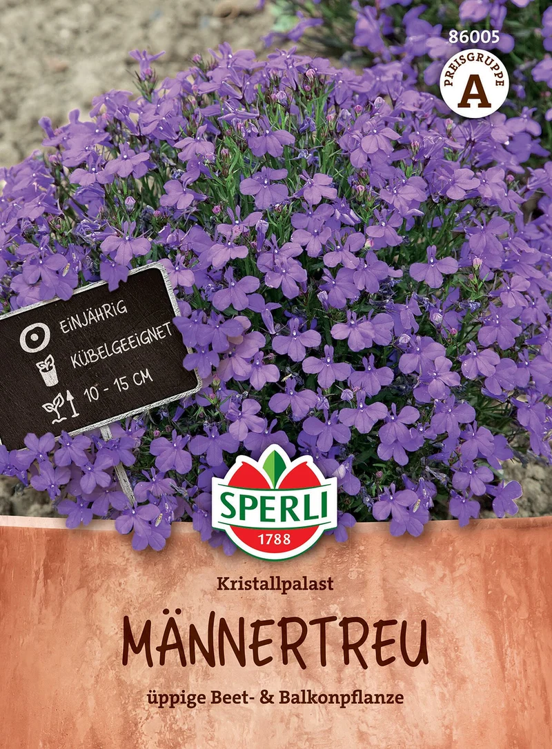 SPERLI Männertreu-Samen 'Kristallpalast'