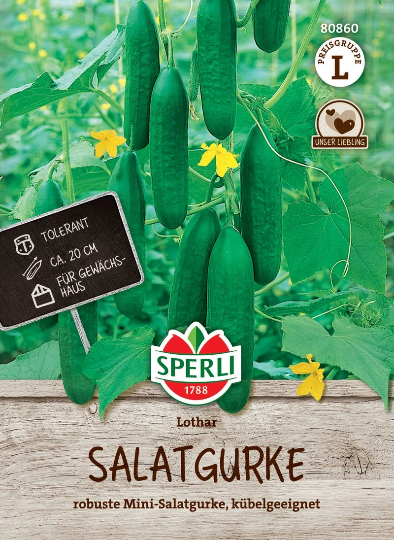 SPERLI Salatgurke-Samen 'Lothar', F1