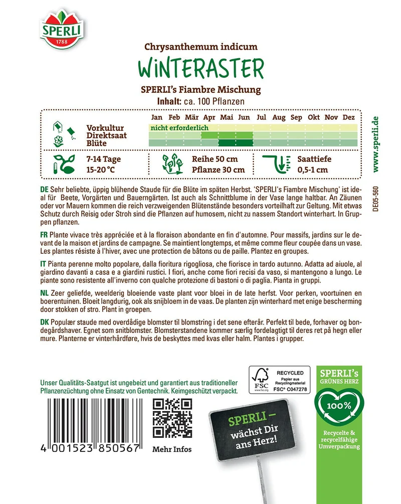 SPERLI Winteraster-Samen "Fiambre Mischung"