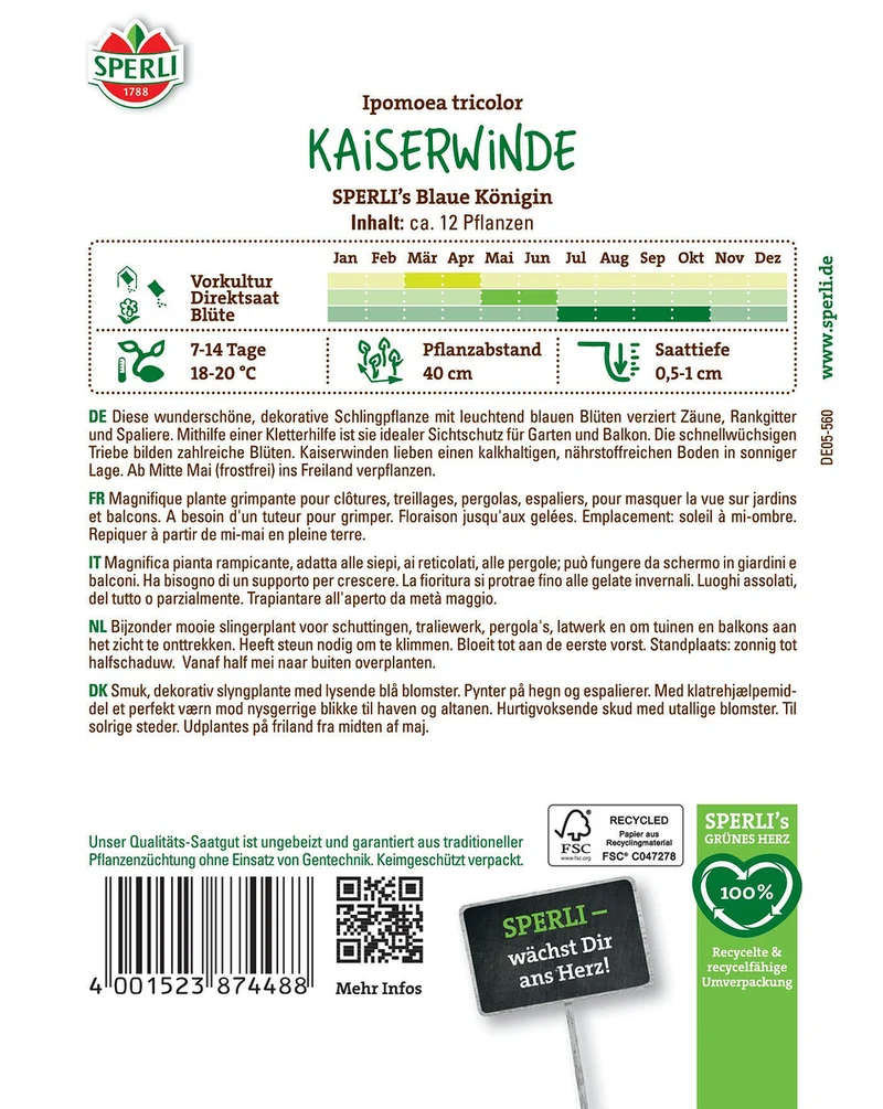 SPERLI Kaiserwinde-Samen 'Blaue Königin'