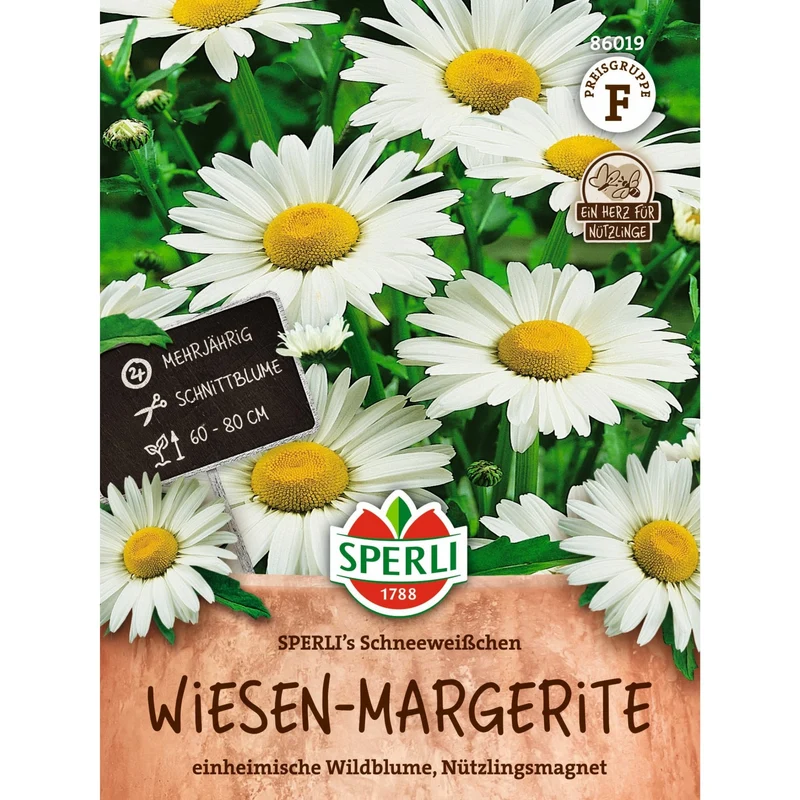 SPERLI Wiesen-Margeriten-Samen 'Schneeweißchen'