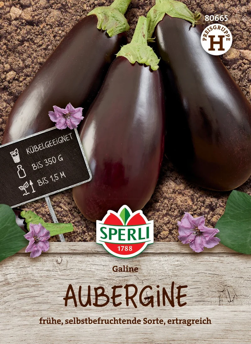 SPERLI Auberginen-Samen 'Galine', F1