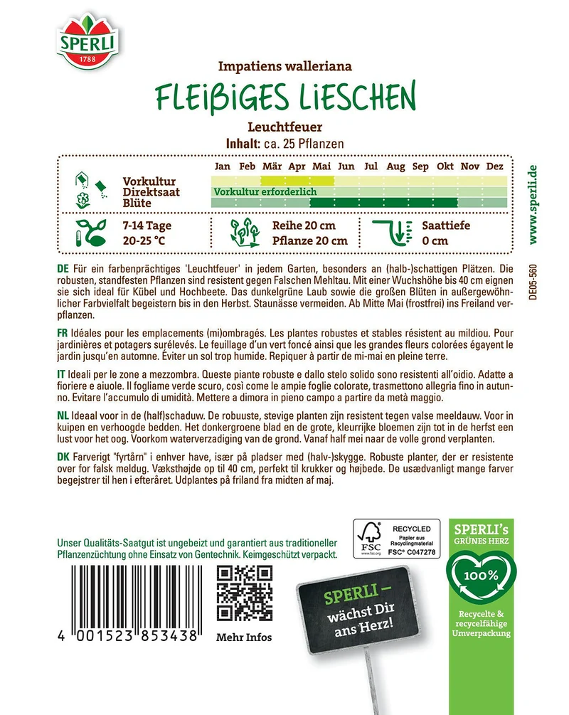 SPERLI Fleißiges Lieschen-Samen 'Leuchtfeuer'