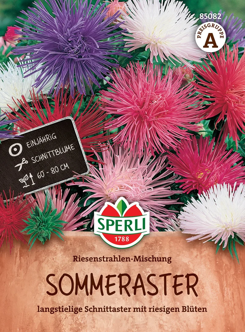 SPERLI Sommeraster-Samen "Riesenstrahlen-Mischung"
