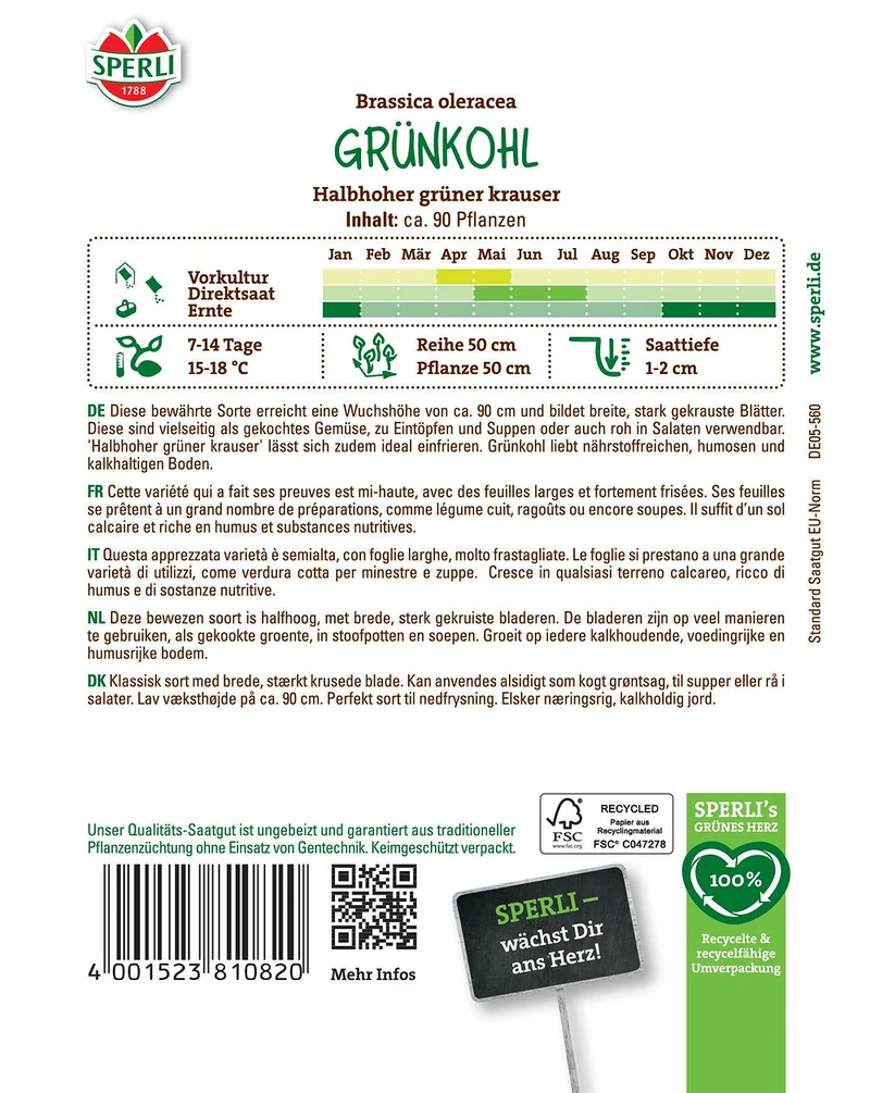 SPERLI Grünkohl-Samen 'Halbhoher grüner krauser'