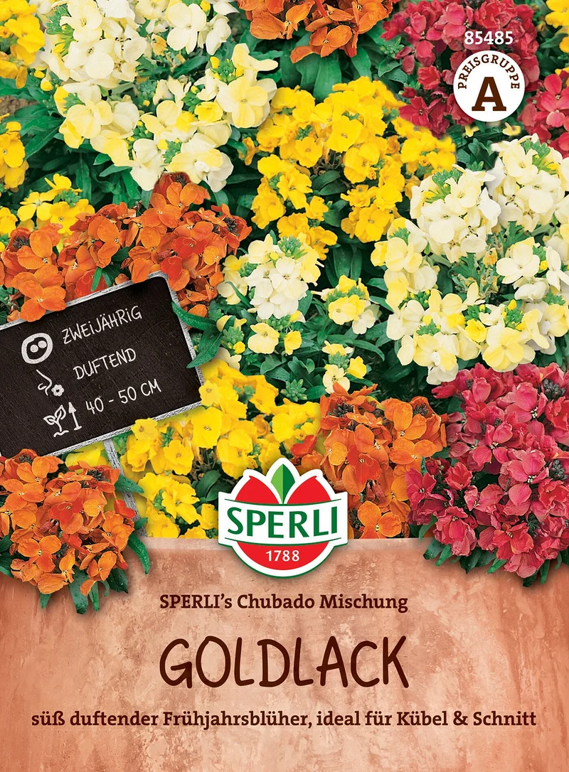 SPERLI Goldlack-Samen 'Chubado Mischung'