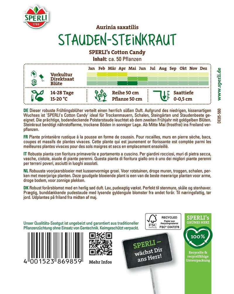 SPERLI Stauden-Steinkraut-Samen 'Cotton Candy'