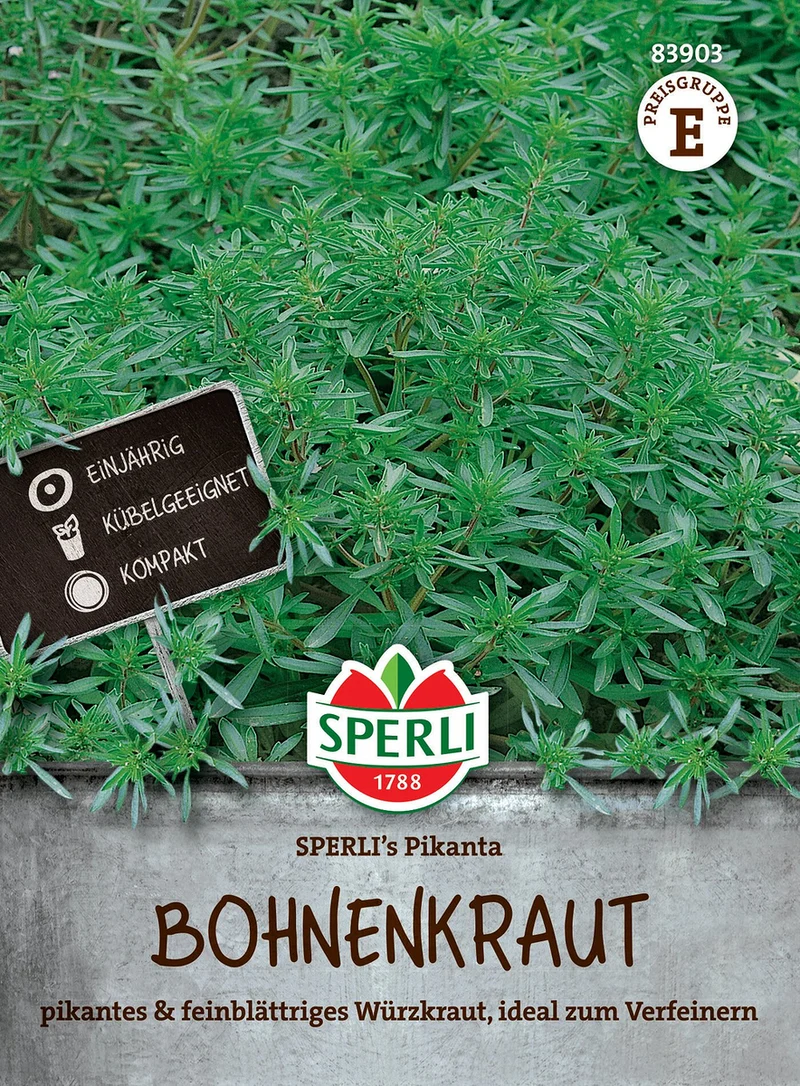 SPERLI Bohnenkraut-Samen 'Pikanta'