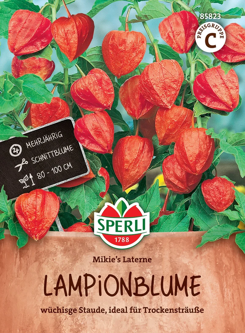 SPERLI Lampionblumen-Samen 'Mikie's Laterne'