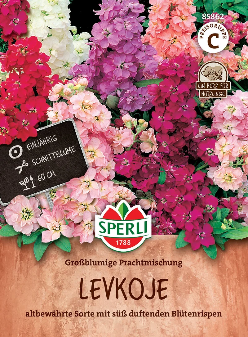 SPERLI Levkojen-Samen 'Großblumige Prachtmischung'