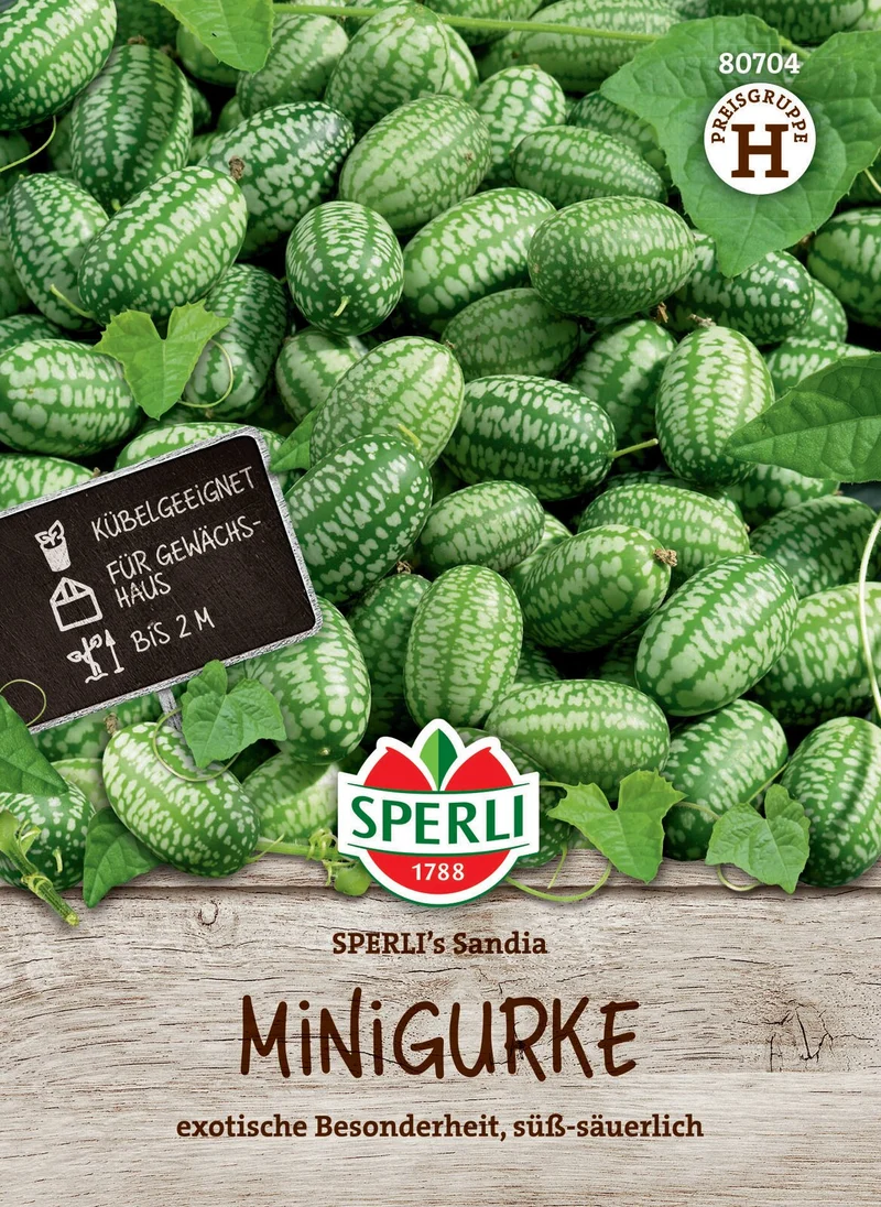 SPERLI Minigurken-Samen 'Sandia'