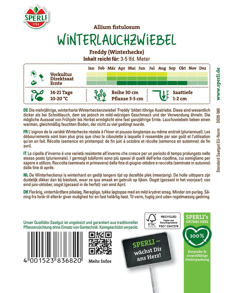 SPERLI Winterlauchzwiebel-Samen 'Freddy'