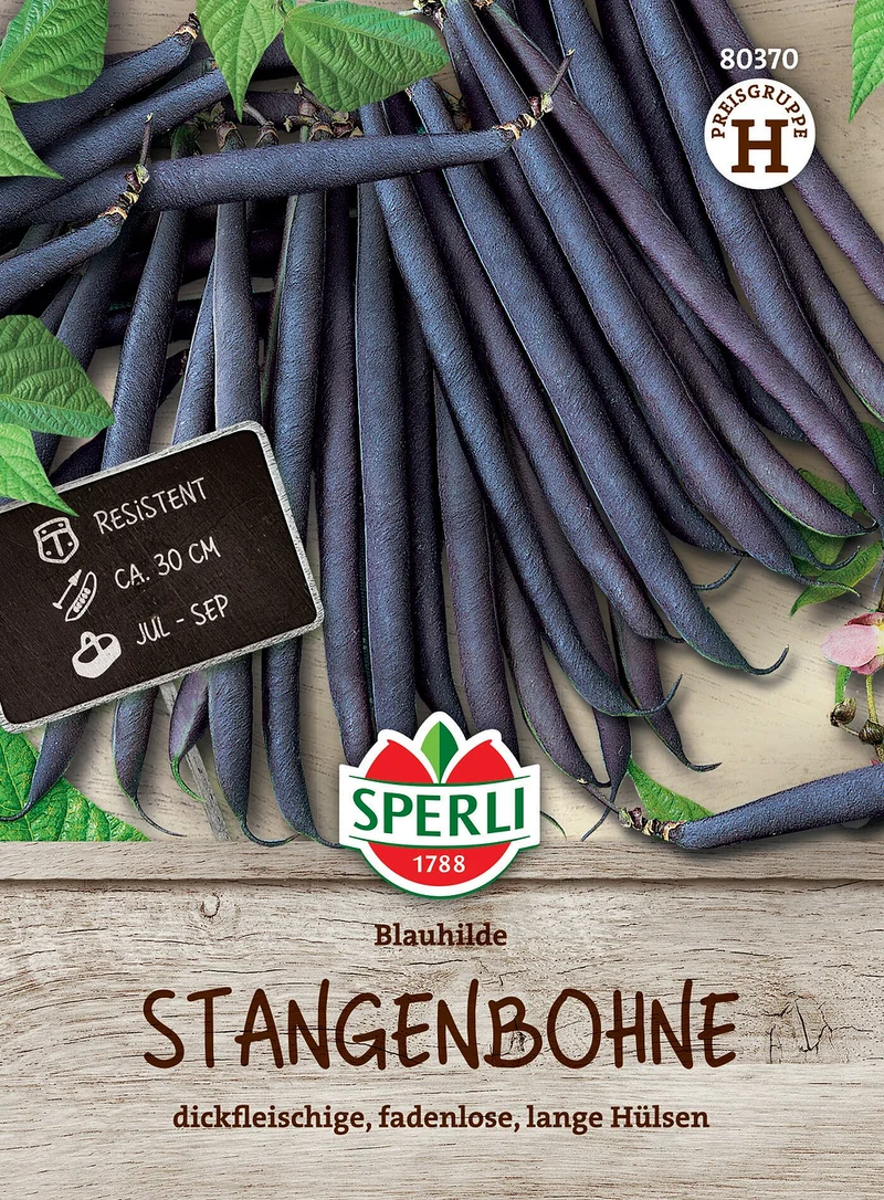 SPERLI Stangenbohnen-Samen 'Blauhilde'