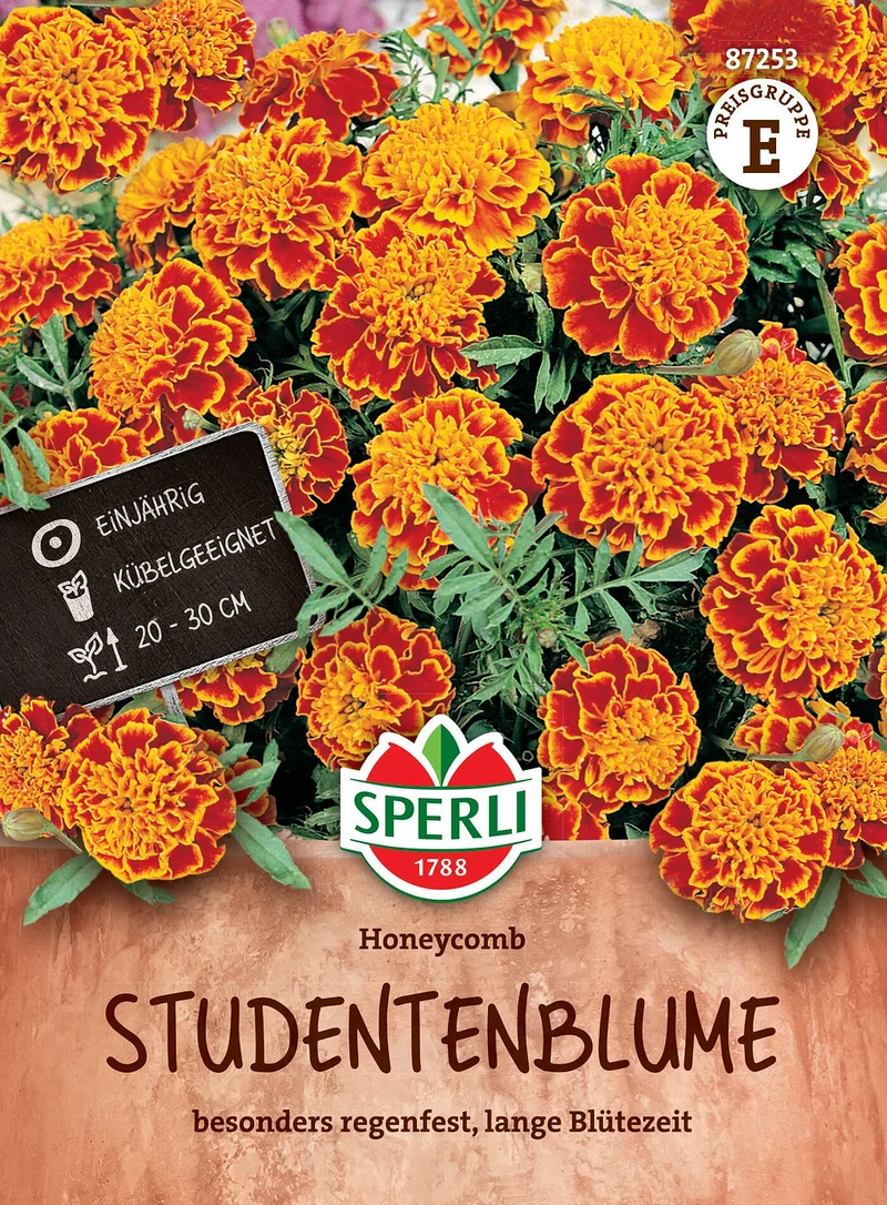SPERLI Studentenblumen-Samen 'Honeycomb'