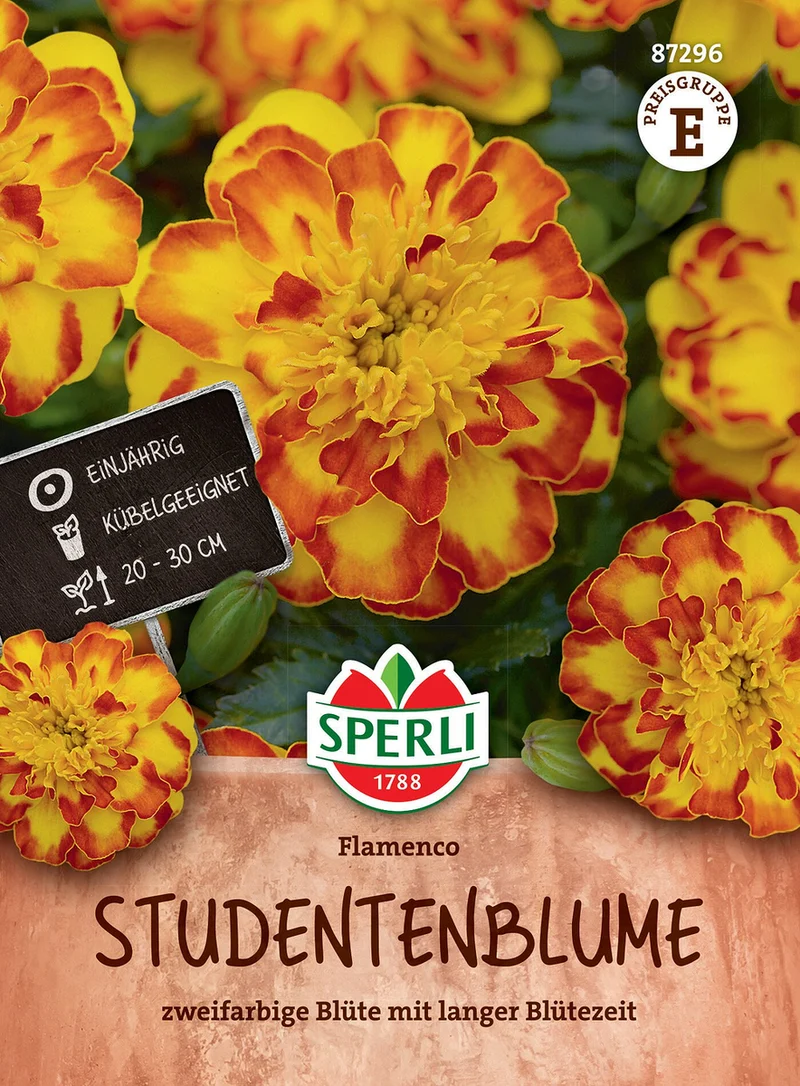 SPERLI Studentenblumen-Samen 'Flamenco'