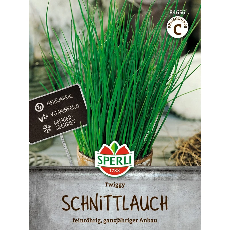 SPERLI Schnittlauch-Samen 'Twiggy'