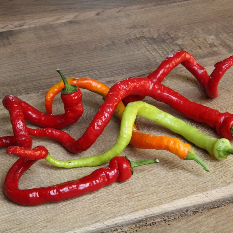 Bio Chili 'Milder Spiral'