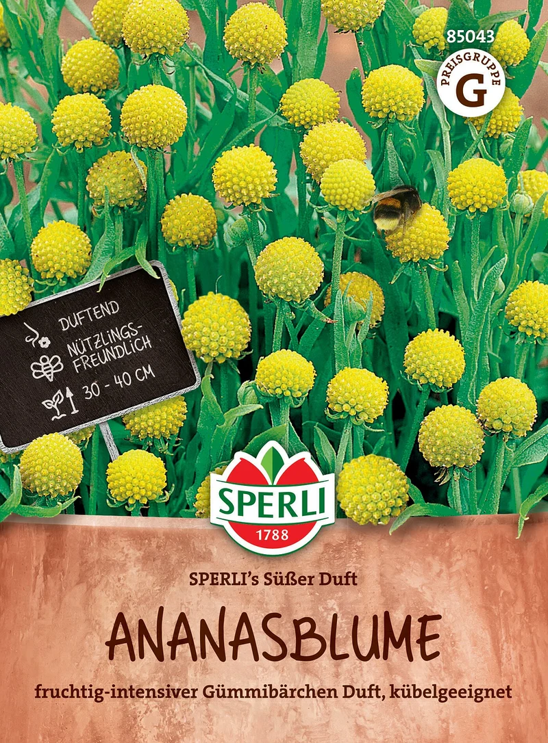 SPERLI Ananasblumen-Samen 'Süßer Duft'