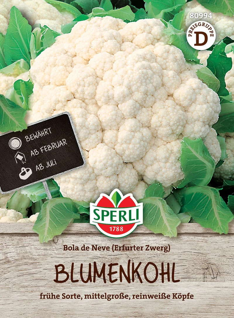 SPERLI Blumenkohl-Samen 'Bola de Neve'(Erfurter Zwerg)